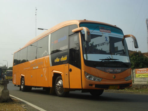 sewa bus